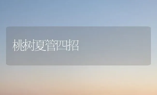 桃树夏管四招 | 瓜果种植