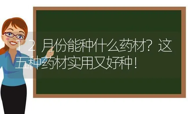 12月份能种什么药材？这五种药材实用又好种！ | 药材种植