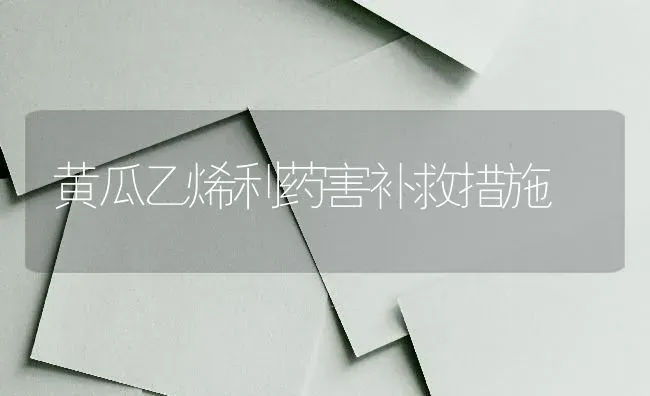 黄瓜乙烯利药害补救措施 | 蔬菜种植