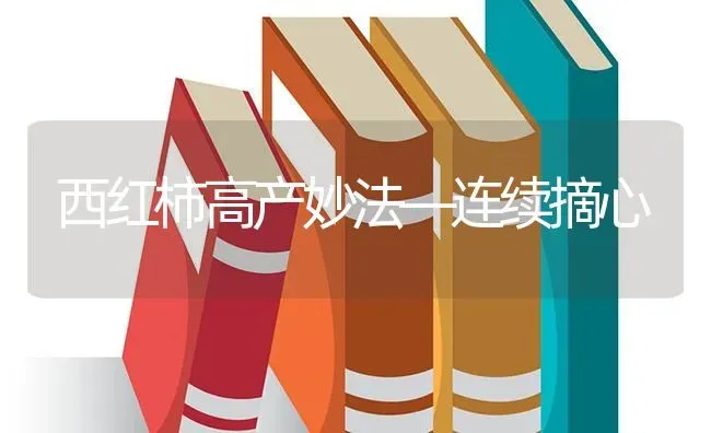 西红柿高产妙法—连续摘心 | 蔬菜种植