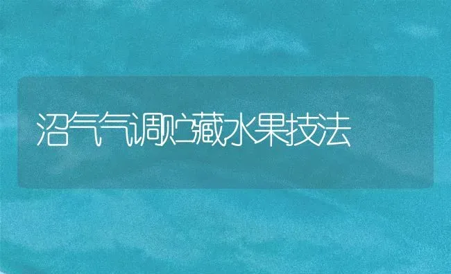 沼气气调贮藏水果技法 | 瓜果种植