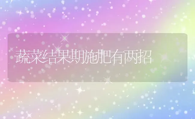 蔬菜结果期施肥有两招 | 蔬菜种植