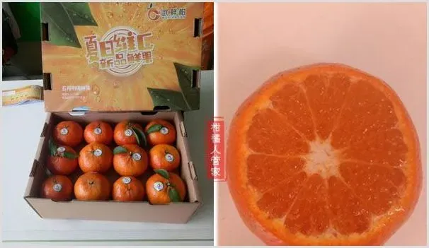 武鲜柑优缺点解析 | 农业技术