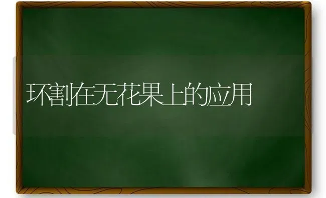 环割在无花果上的应用 | 瓜果种植