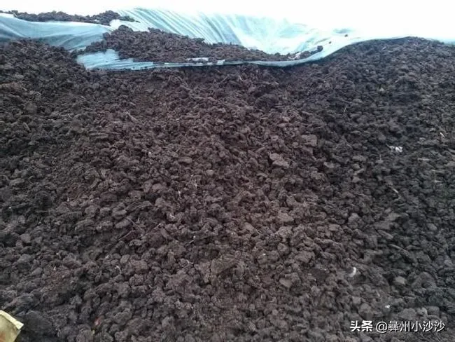 植物施肥|有机肥跟化肥有什么区别，有机肥替代化肥的意义和目标）