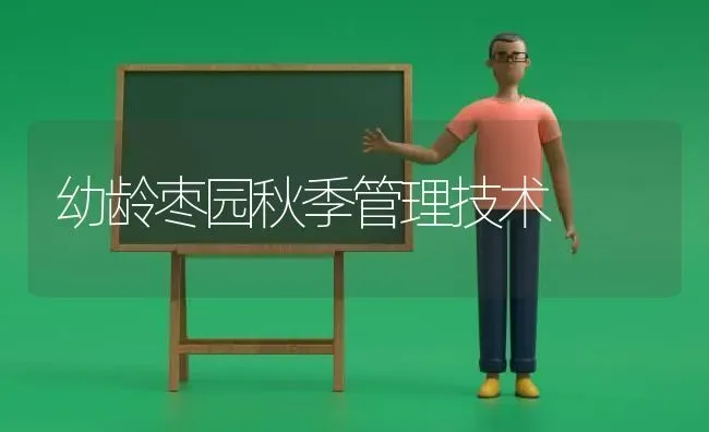 幼龄枣园秋季管理技术 | 瓜果种植