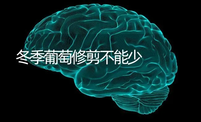 冬季葡萄修剪不能少 | 瓜果种植