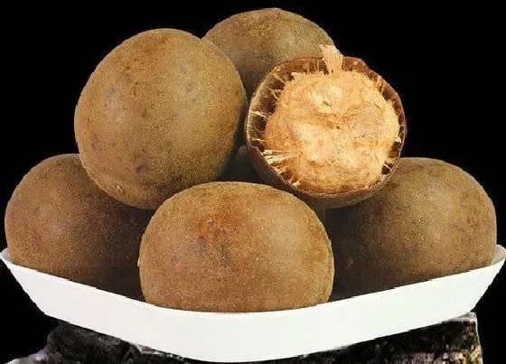 食用科普|罗汉果能直接吃吗