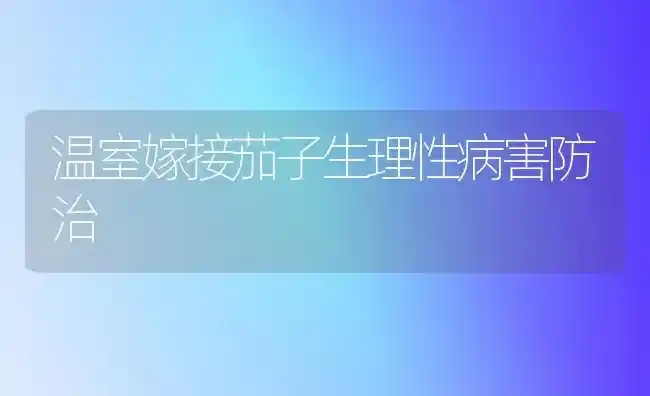 温室嫁接茄子生理性病害防治 | 蔬菜种植