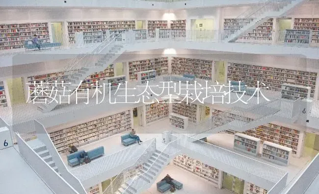 蘑菇有机生态型栽培技术 | 食用菌种植
