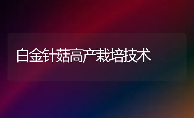 白金针菇高产栽培技术 | 食用菌种植