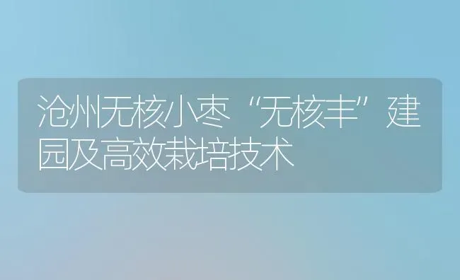 沧州无核小枣“无核丰”建园及高效栽培技术 | 瓜果种植