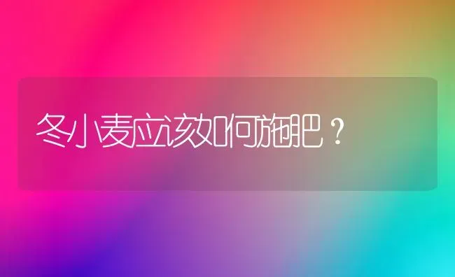 冬小麦应该如何施肥？ | 粮油作物种植