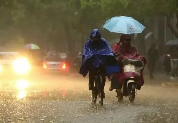 植物浇水|河南平顶山暴雨亲历者:没看到雨停不敢睡觉