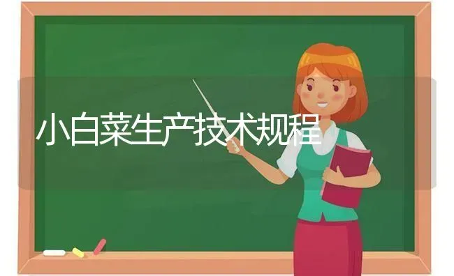 小白菜生产技术规程 | 蔬菜种植