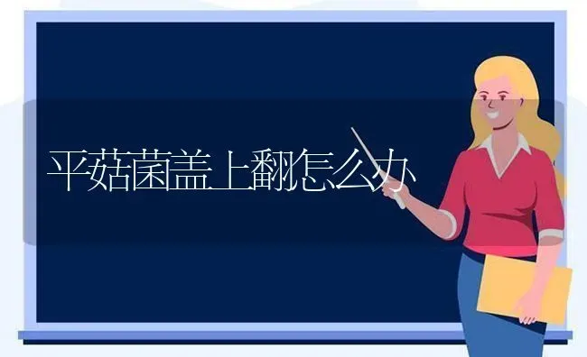平菇菌盖上翻怎么办 | 食用菌种植