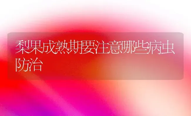 梨果成熟期要注意哪些病虫防治 | 瓜果种植