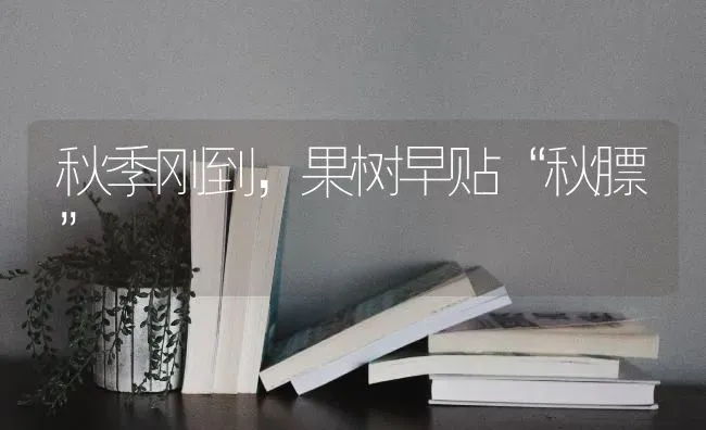 秋季刚到，果树早贴“秋膘” | 瓜果种植