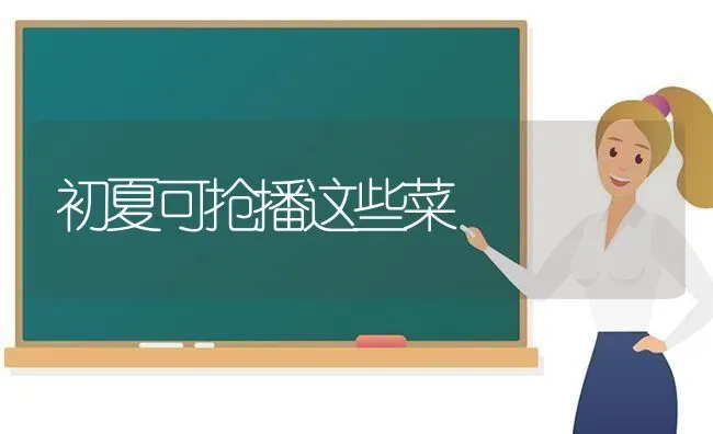 初夏可抢播这些菜 | 蔬菜种植