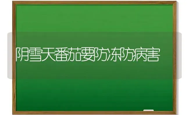 苦瓜的加工利用 | 蔬菜种植