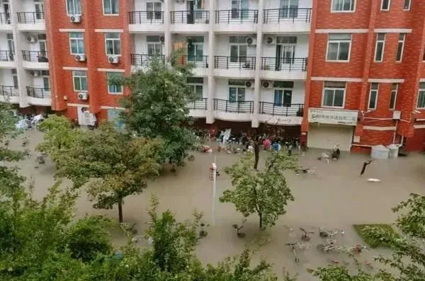 植物浇水|河南平顶山暴雨亲历者:没看到雨停不敢睡觉