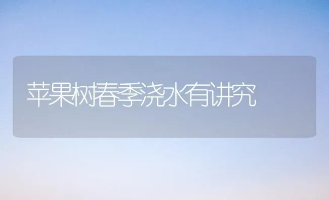 苹果树春季浇水有讲究 | 瓜果种植