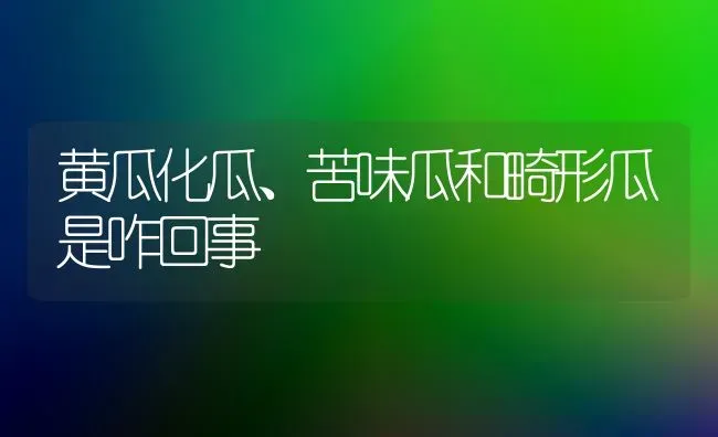 黄瓜化瓜、苦味瓜和畸形瓜是咋回事 | 蔬菜种植