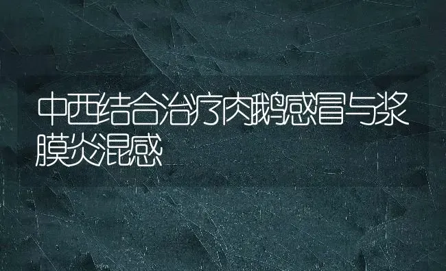 中西结合治疗肉鹅感冒与浆膜炎混感 | 瓜果种植
