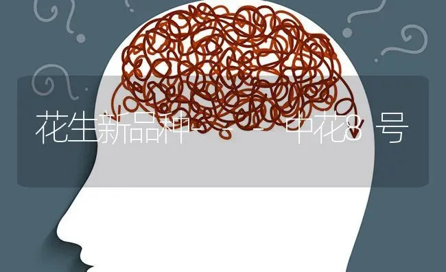 大豆田间管理要及早追肥 | 粮油作物种植