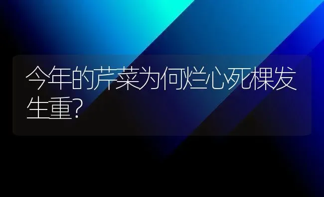 今年的芹菜为何烂心死棵发生重？ | 蔬菜种植