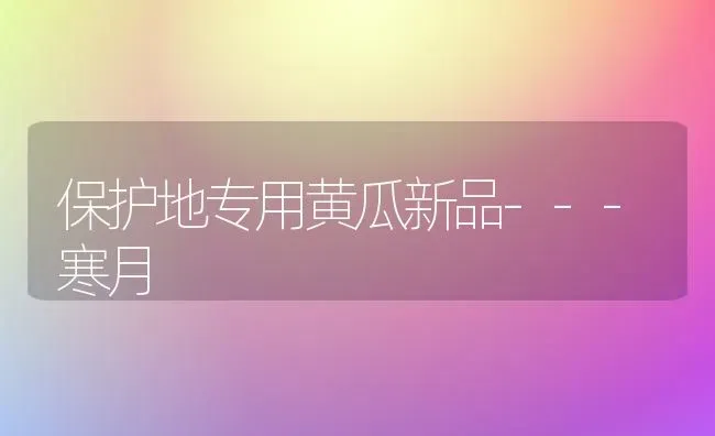 保护地专用黄瓜新品---寒月 | 蔬菜种植
