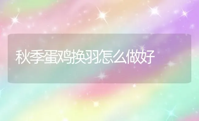 韭菜治牛前胃病疗效高 | 蔬菜种植