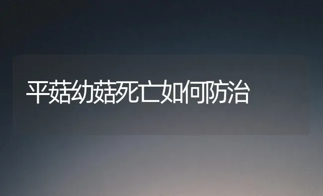 平菇幼菇死亡如何防治 | 食用菌种植