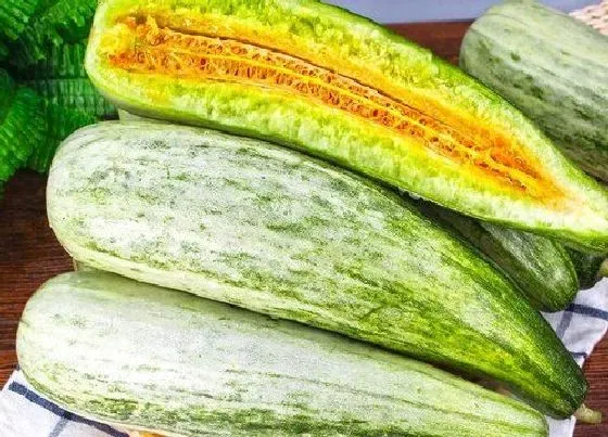 植物产地|羊角蜜甜瓜原产地在哪里