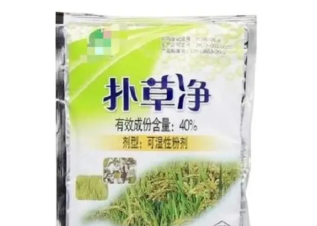 喷药|除辣椒地里面的草能打扑草净吗（扑草净除草剂使用范围）