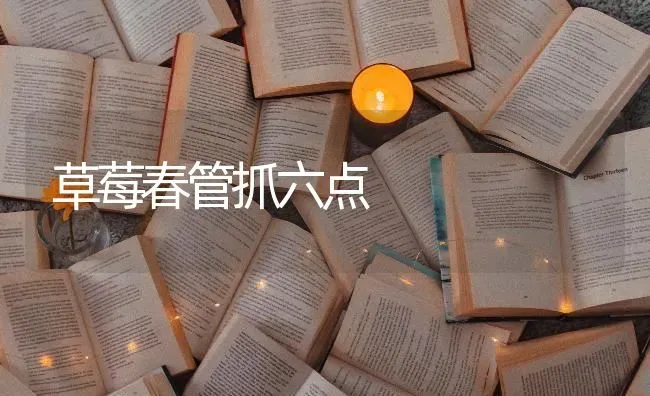 草莓春管抓六点 | 瓜果种植
