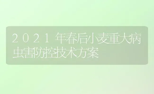 2021年春后小麦重大病虫害防控技术方案 | 粮油作物种植