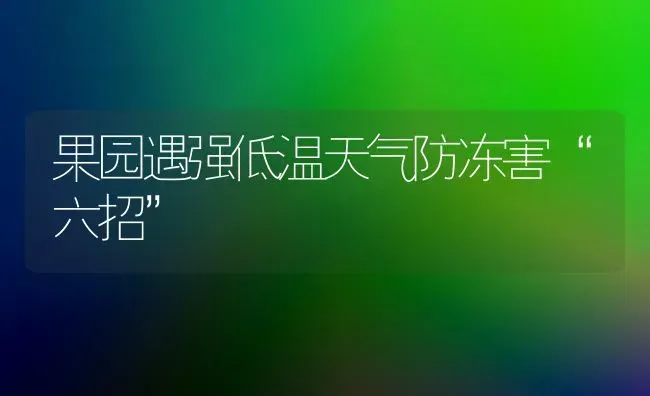 果园遇强低温天气防冻害“六招” | 瓜果种植