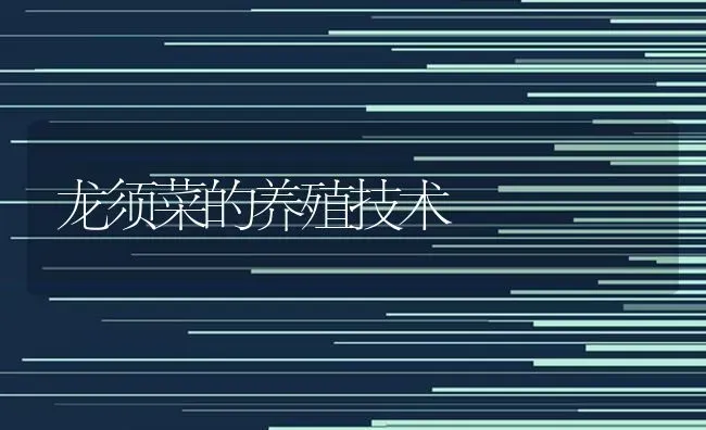 龙须菜的养殖技术 | 蔬菜种植