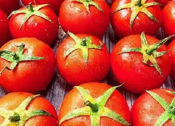 食用技巧|番茄怎么挑选好吃的