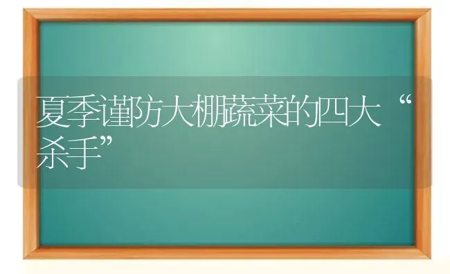 夏季谨防大棚蔬菜的四大“杀手” | 蔬菜种植