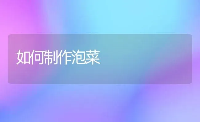 如何制作泡菜 | 蔬菜种植