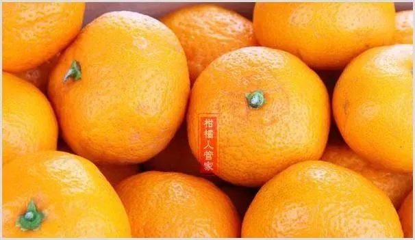 武鲜柑优缺点解析 | 农业技术