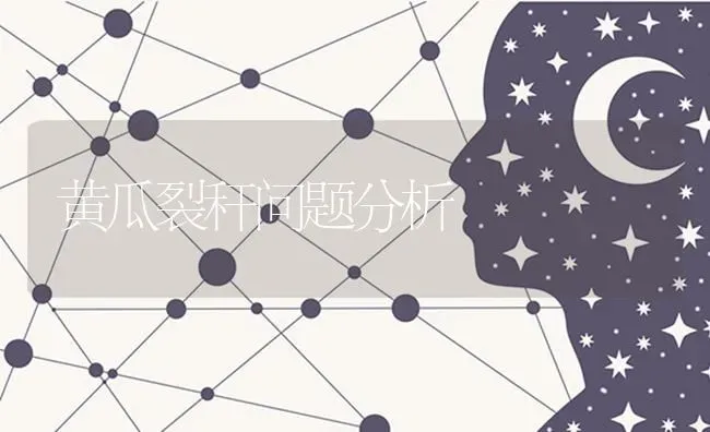 黄瓜裂秆问题分析 | 蔬菜种植