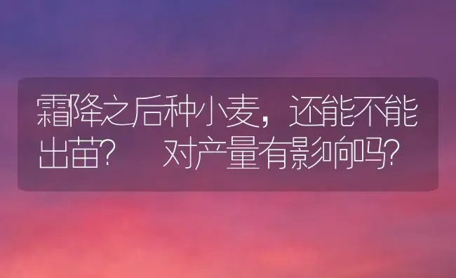 霜降之后种小麦，还能不能出苗？ 对产量有影响吗？ | 粮油作物种植