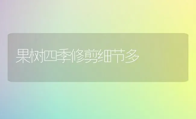 果树四季修剪细节多 | 瓜果种植