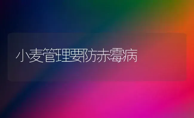 小麦管理要防赤霉病 | 粮油作物种植