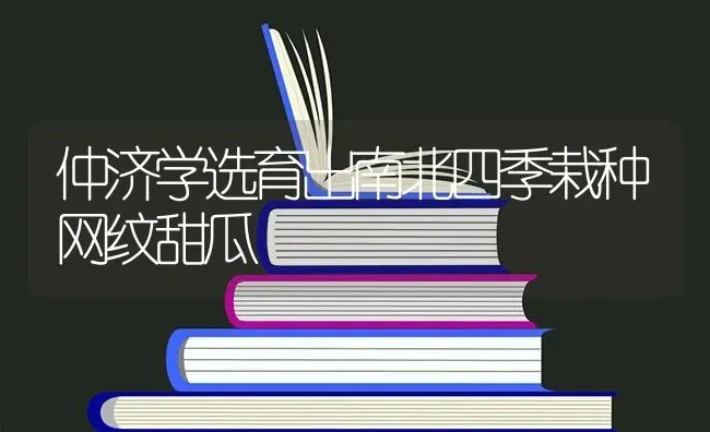 仲济学选育出南北四季栽种网纹甜瓜 | 瓜果种植