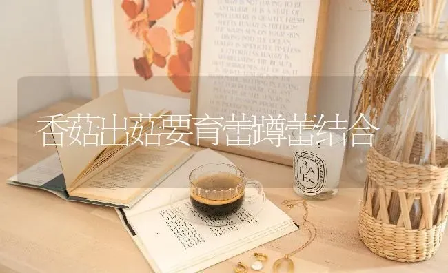香菇出菇要育蕾蹲蕾结合 | 食用菌种植