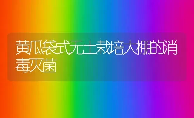 黄瓜袋式无土栽培大棚的消毒灭菌 | 蔬菜种植